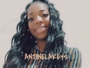 ANTONELAKEYS