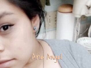 Arie_Angel