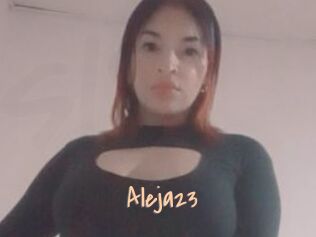 Aleja23