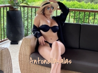 Antonellasalas