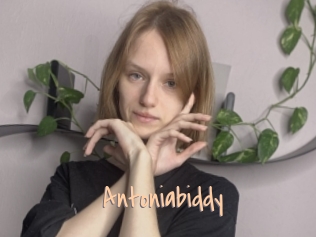 Antoniabiddy