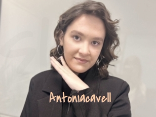 Antoniacavell
