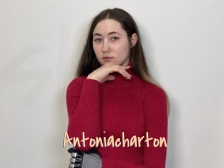 Antoniacharton