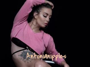 Antonianipples