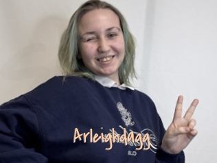 Arleighdagg