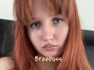 Breebuss