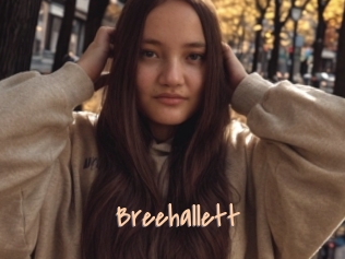 Breehallett