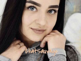ChatSauvage Salopes de 18 ans