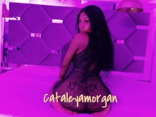 Cataleyamorgan