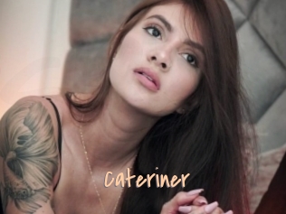 Cateriner