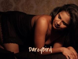 DarcyBird