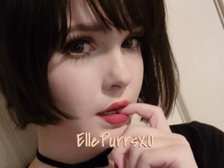 EllePurrsXO