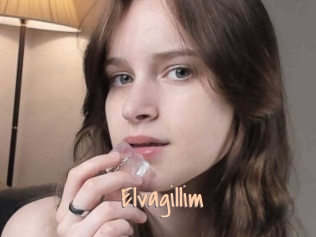 Elvagillim