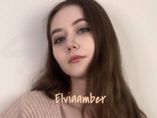 Elviaamber