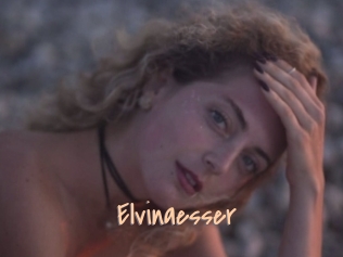 Elvinaesser