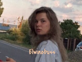 Elwinebuss