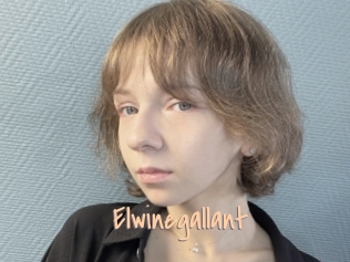 Elwinegallant