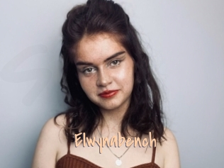 Elwynabench