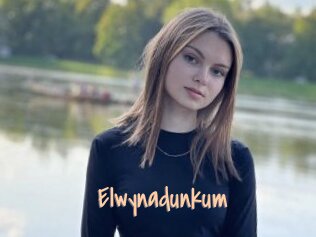 Elwynadunkum