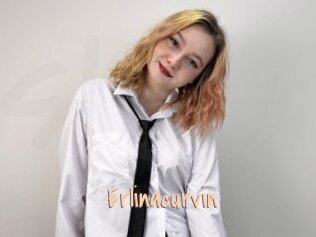 Erlinacurvin