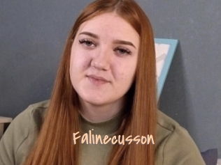 Falinecusson