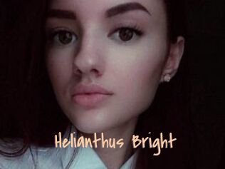 Helianthus_Bright