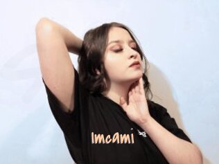 Imcami