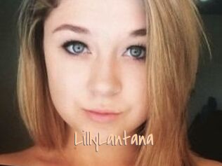 LillyLantana