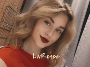 LivRosee Salopes de 18 ans