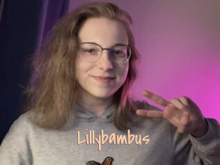 Lillybambus