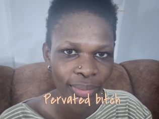 Pervated_bitch