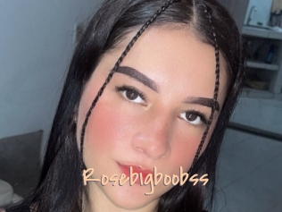 Rosebigboobss