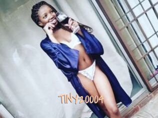 TINY20004
