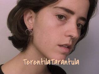 TerentilaTarantula