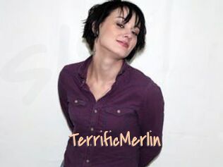 TerrificMerlin