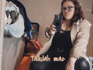 Tallulah_mae