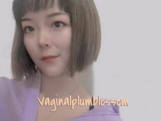 Vaginalplumblossom