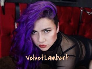 VelvetLambert