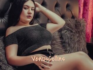 VenusCollins