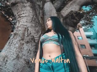 Venus_Walton