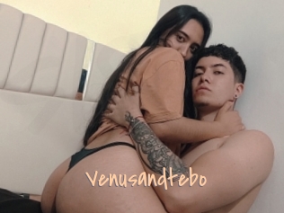 Venusandtebo