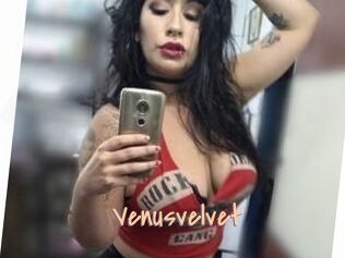 Venusvelvet